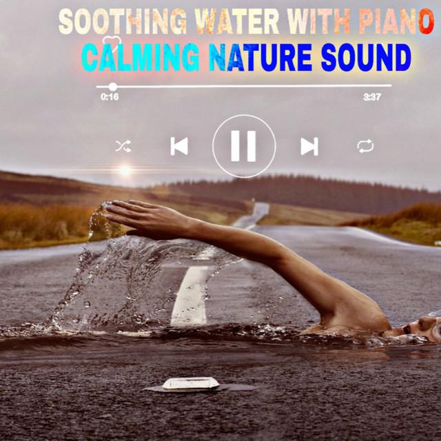Calming Nature Sound's avatar image