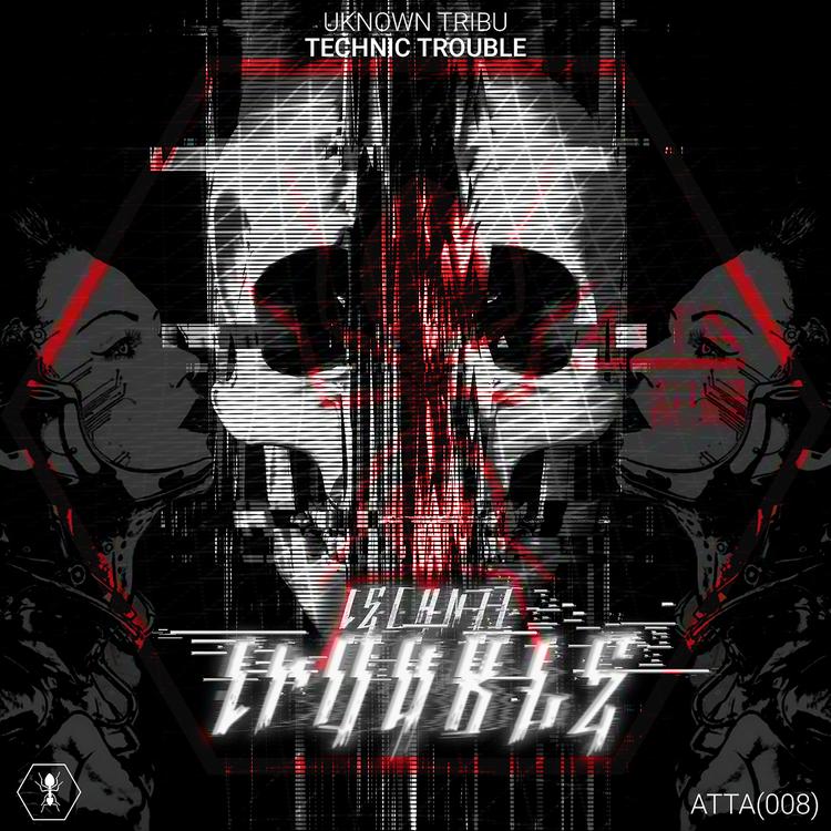 Technic Trouble's avatar image