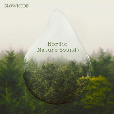 Stream (Skygge Å) By Slowmode's cover