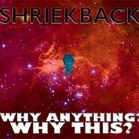 Shriekback's avatar cover