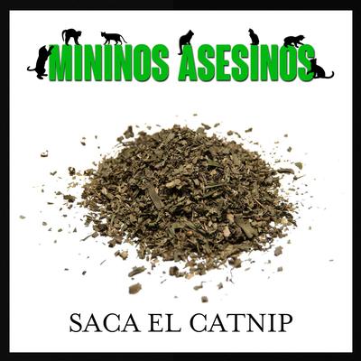 Mininos Asesinos's cover