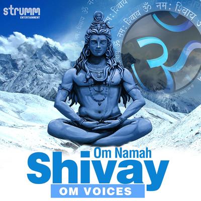 Om Namah Shivay By Om Voices's cover
