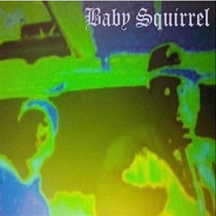 Baby Squirrel's avatar image