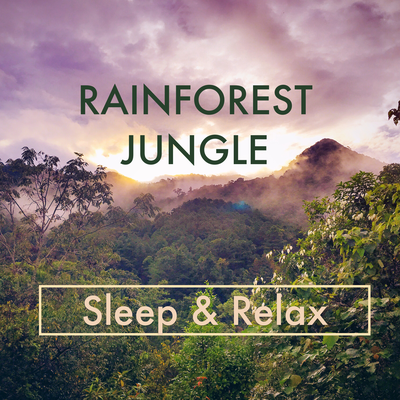 Rainforest Jungle Sounds - Sleep & Relax's cover