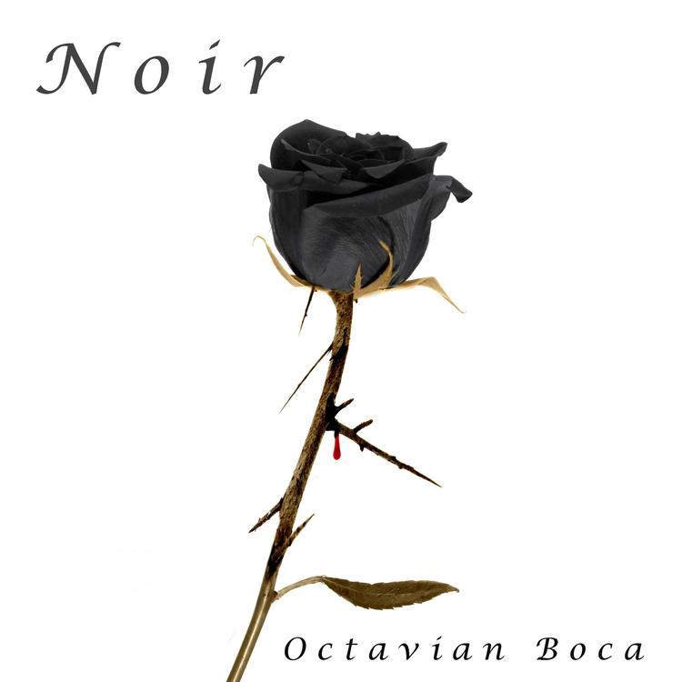 Octavian Boca's avatar image