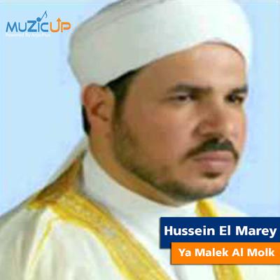 Hussein El Marey's cover