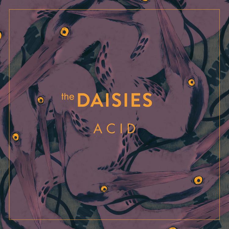 The Daisies's avatar image