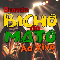 Banda Bicho do Mato's avatar cover