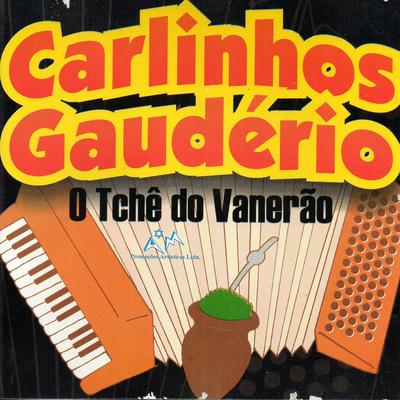O Tchê do Vanerão (Ao Vivo)'s cover