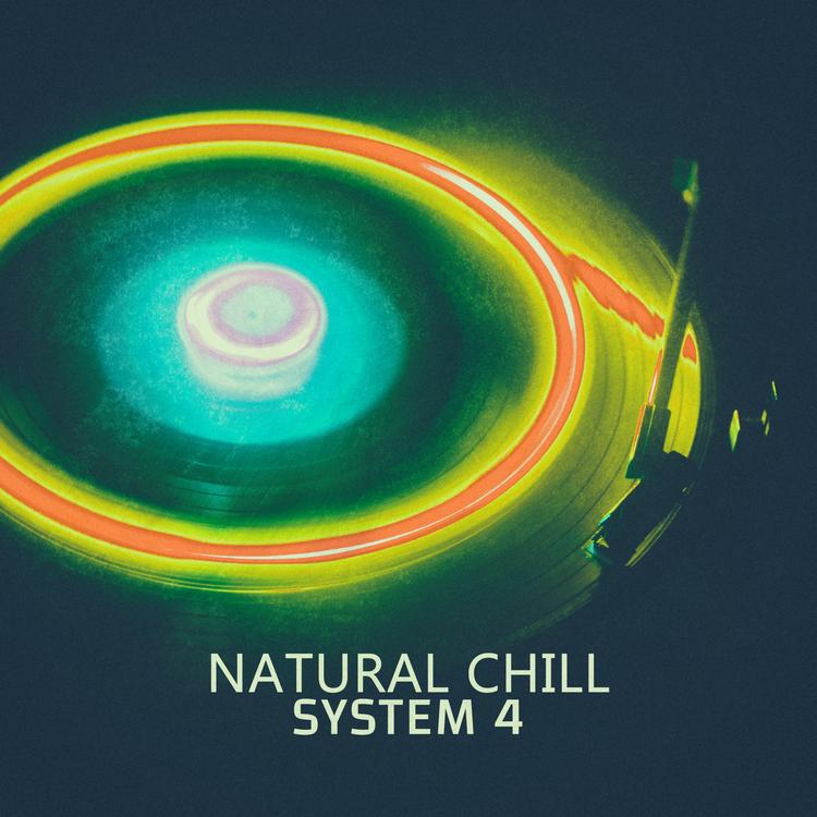 System 4's avatar image