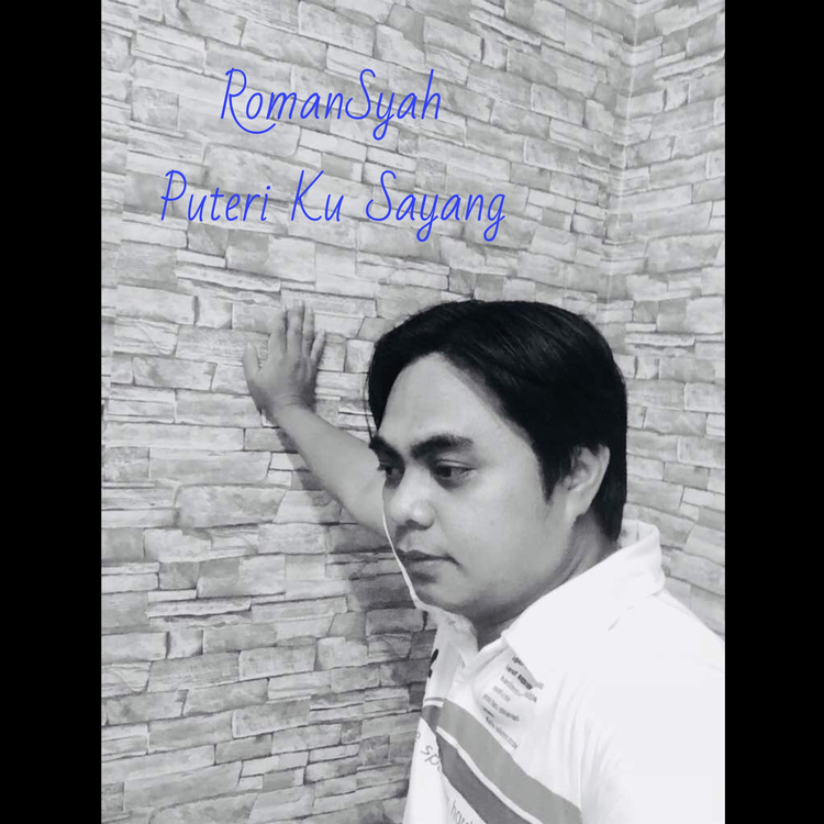 Roman Syah's avatar image