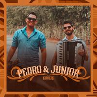 Pedro e Junior's avatar cover