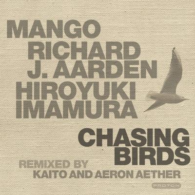 Chasing Birds (Dub Mix)'s cover