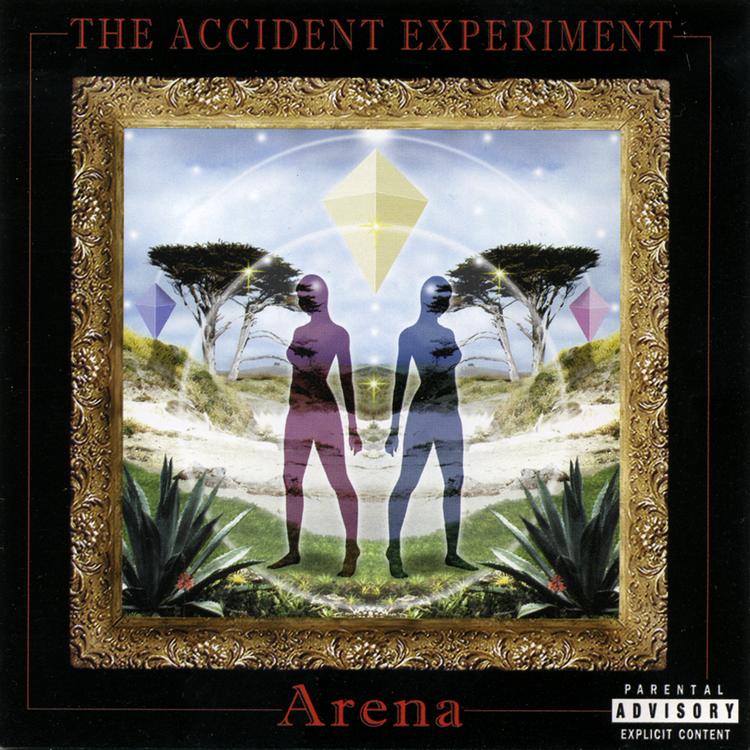 The Accident Experiment's avatar image