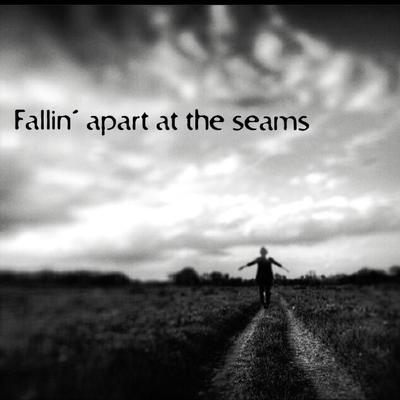 Fallin' Apart at the Seams's cover