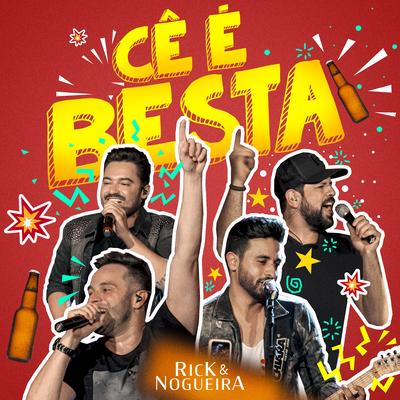 Cê É Besta (Ao Vivo) By Fernando & Sorocaba, Rick & Nogueira's cover