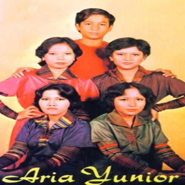 Aria Yunior's avatar image