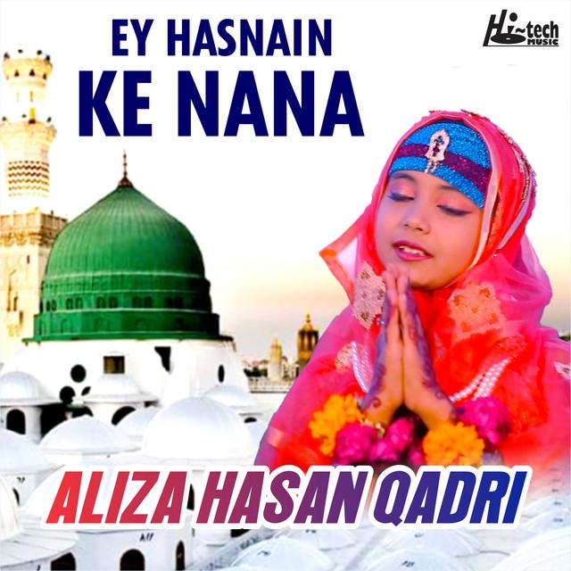 Aliza Hasan Qadri's avatar image