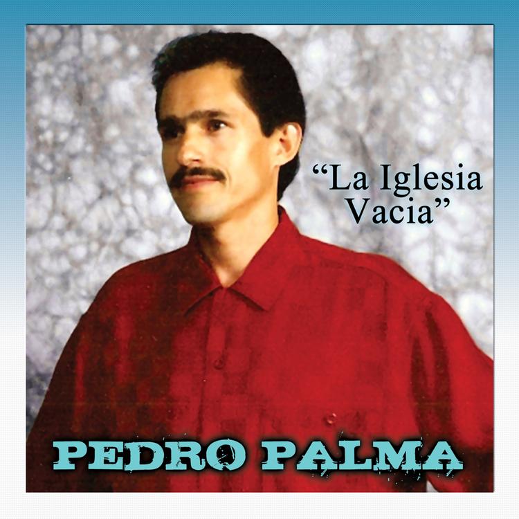 Pedro Palma's avatar image