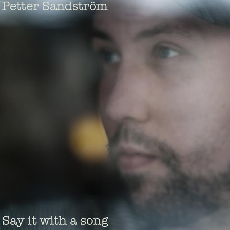 Petter Sandström's avatar image