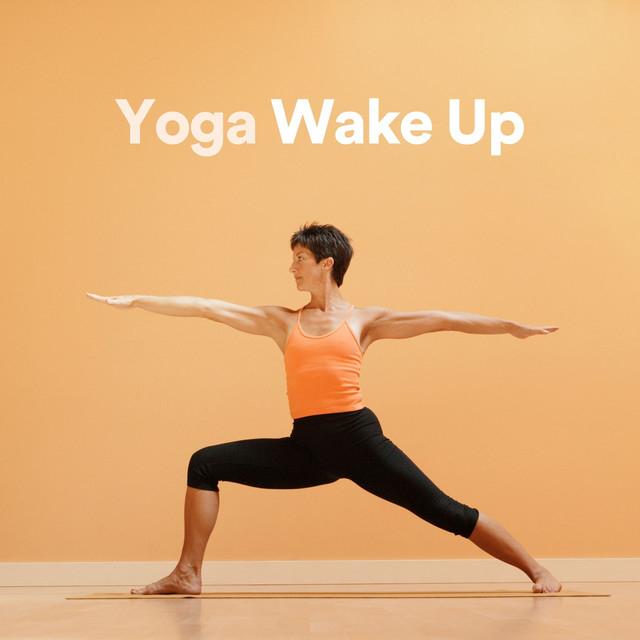 The Yoga Studio's avatar image