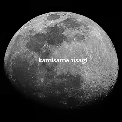 KAMISAMA USAGI's cover