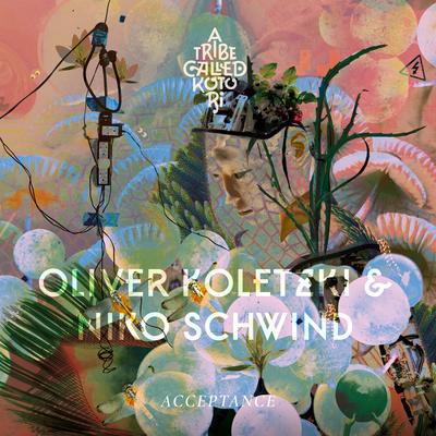 Lights of Denebola (Sam Shure Remix) By Oliver Koletzki, Niko Schwind, Sam Shure's cover