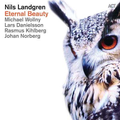 Don't Let Me Be Lonely Tonight By Lars Danielsson, Nils Landgren, Örjan Högberg's cover