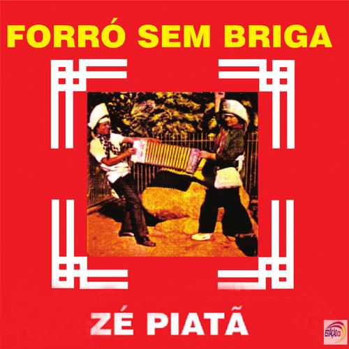 forró sein briga's cover