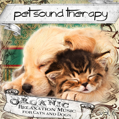 The Comfort of Sleep By Pet Sound Therapy's cover