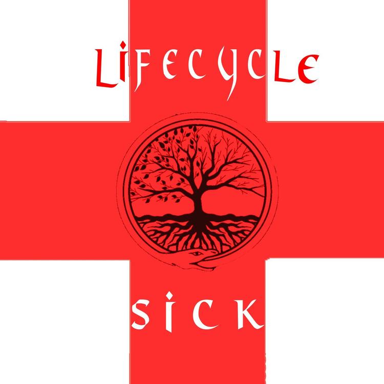 Lifecycle's avatar image