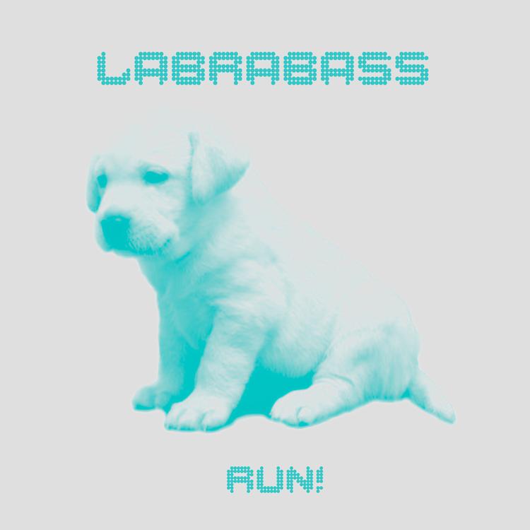 Labrabass's avatar image