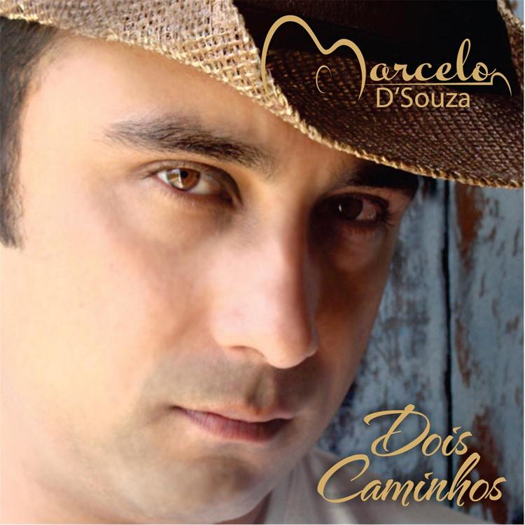 Marcelo D'Souza's avatar image