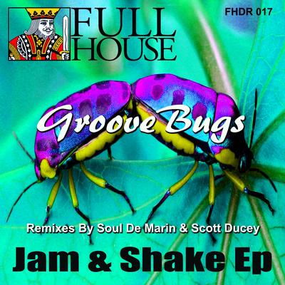 Shake & Rock (Scott Ducey Remix)'s cover