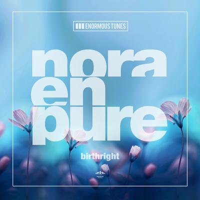 Birthright By Nora En Pure's cover