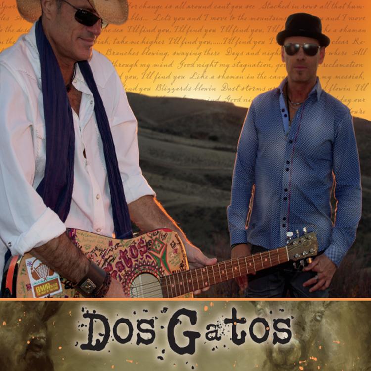 Dos Gatos's avatar image