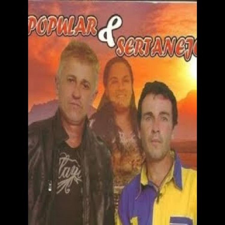 Popular e Sertanejo's avatar image