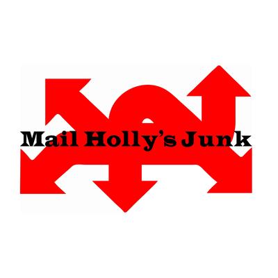 Blind Sighted By Mail Holly's Junk's cover