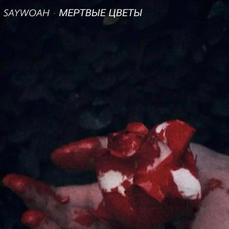 sayWHOAH's avatar image