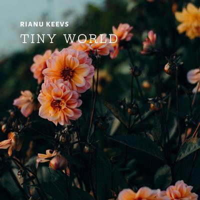 Tiny World (Original Mix)'s cover