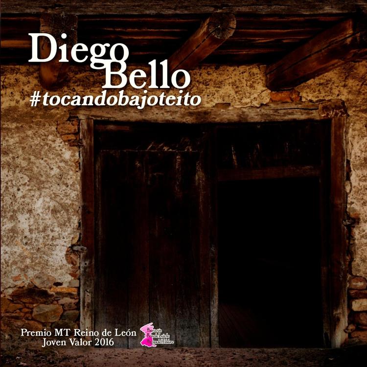 Diego Bello's avatar image