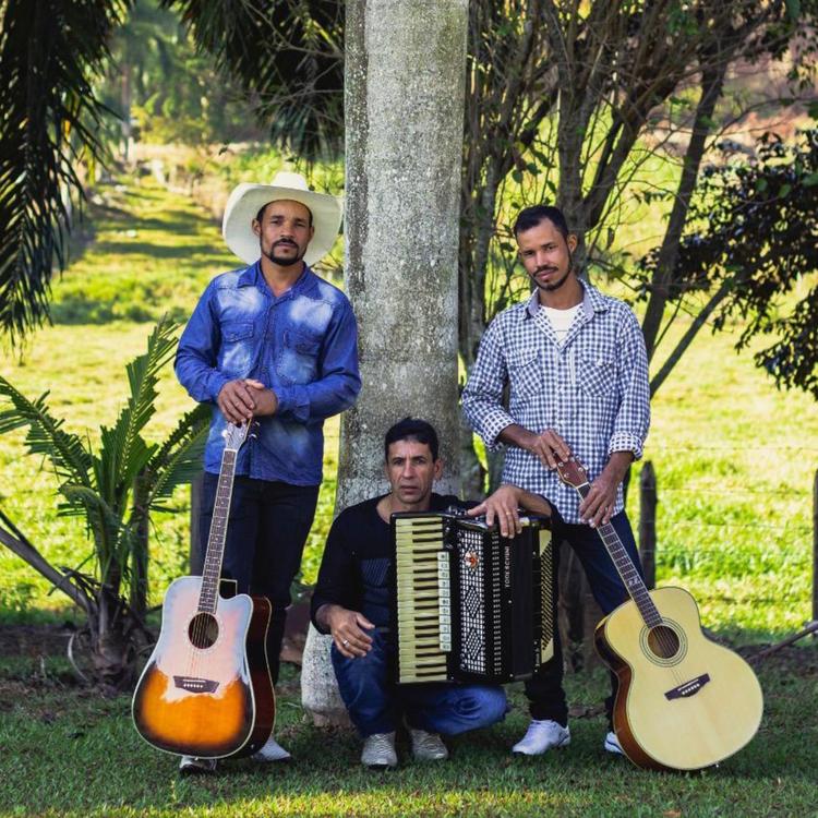 Trio Berço Mineiro's avatar image