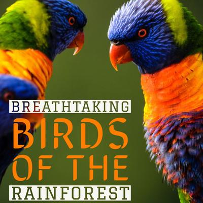 Breathtaking Birds Of The Rainforest - Nature Sounds for Relaxation's cover