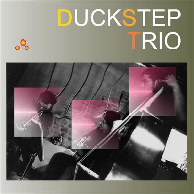 The Duckstep's cover