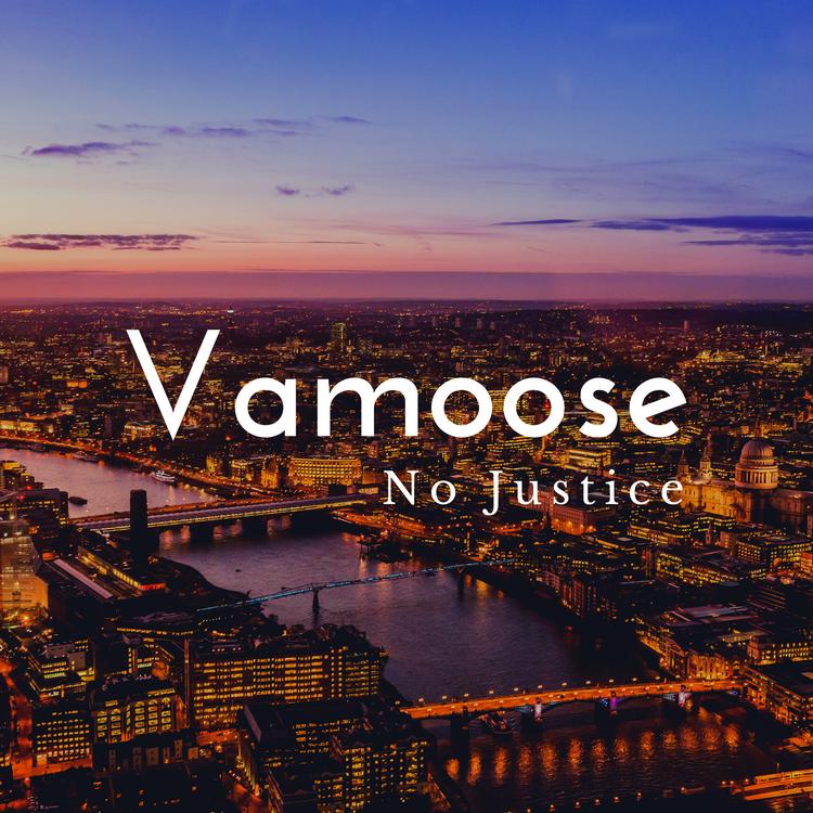 Vamoose's avatar image