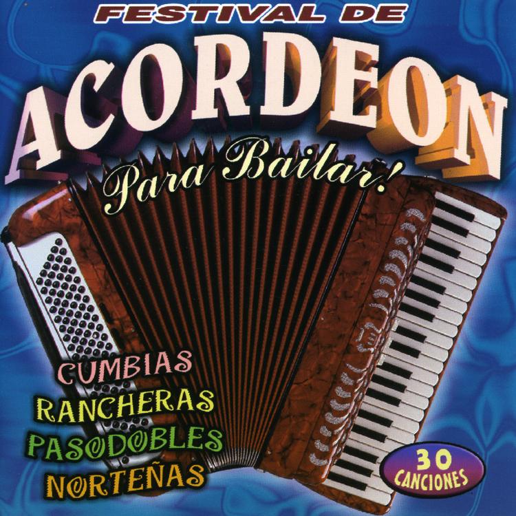 Accordion Festival's avatar image