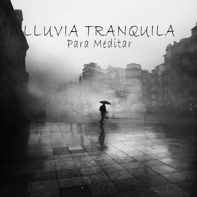 Lluvia Tranquila para Meditar, Pt. 39 By Sonido de Lluvia de Img Library's cover