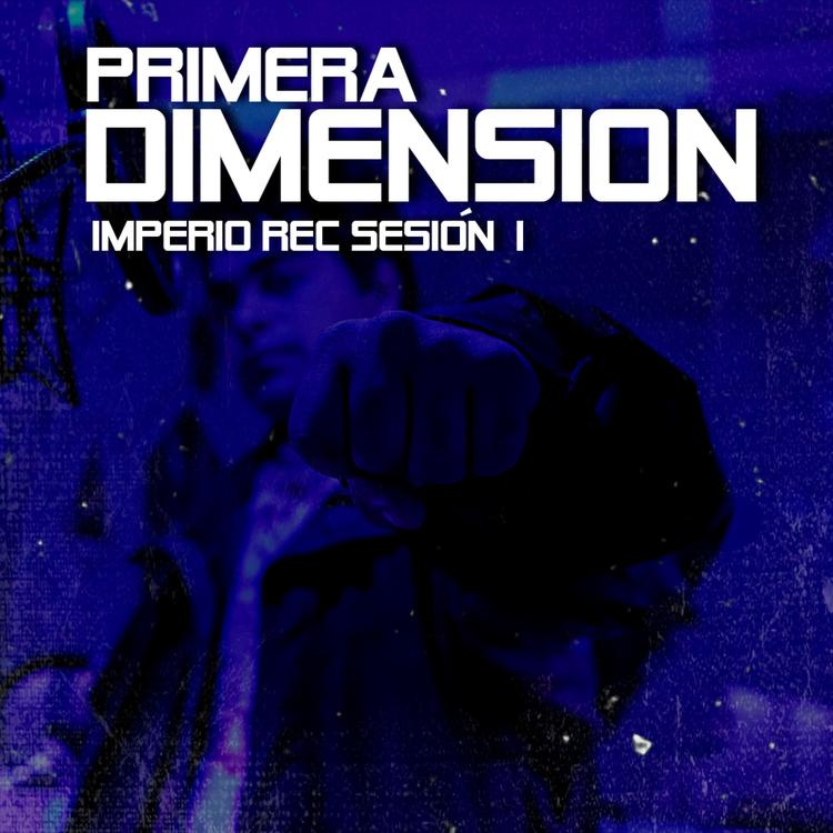 Primera Dimension's avatar image