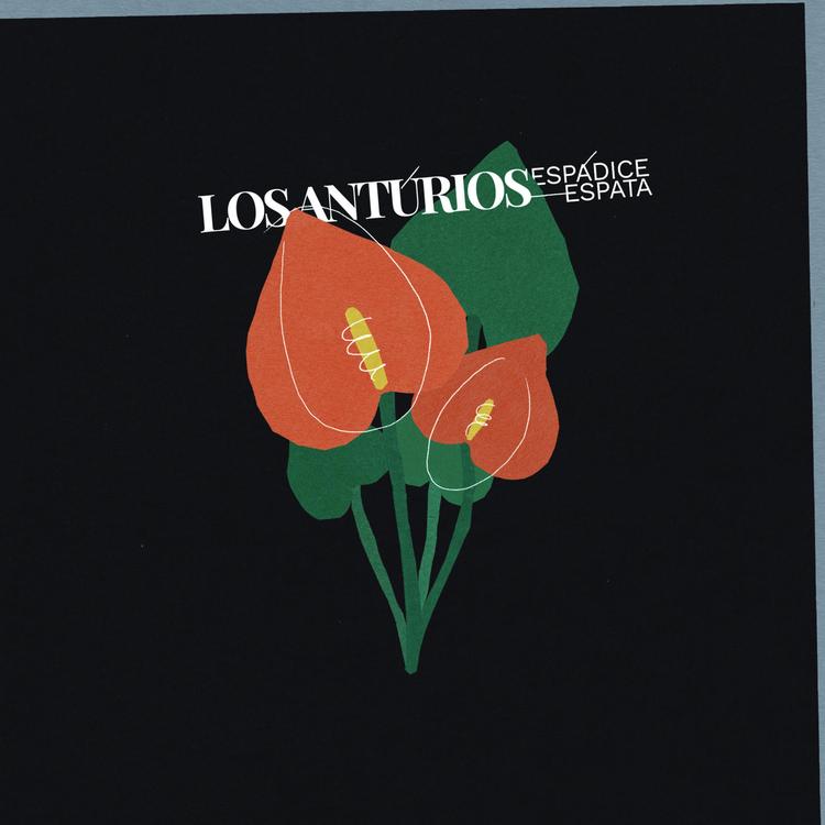Los Antúrios's avatar image
