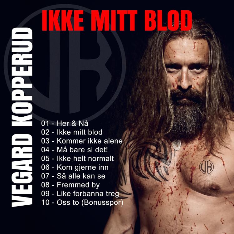 Vegard Kopperud's avatar image